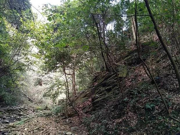 《幻兽帕鲁》终端满了解决方法